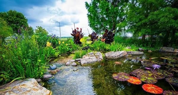 Botanical Filters