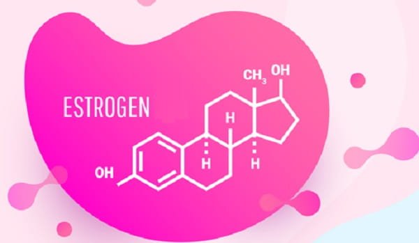 Estrogen 